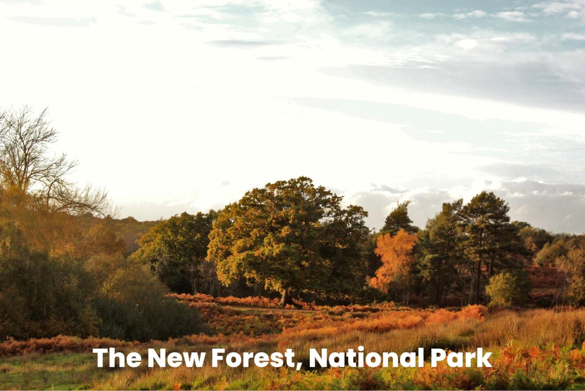 Cosy Retreat Near New Forest Ellingham  Екстериор снимка