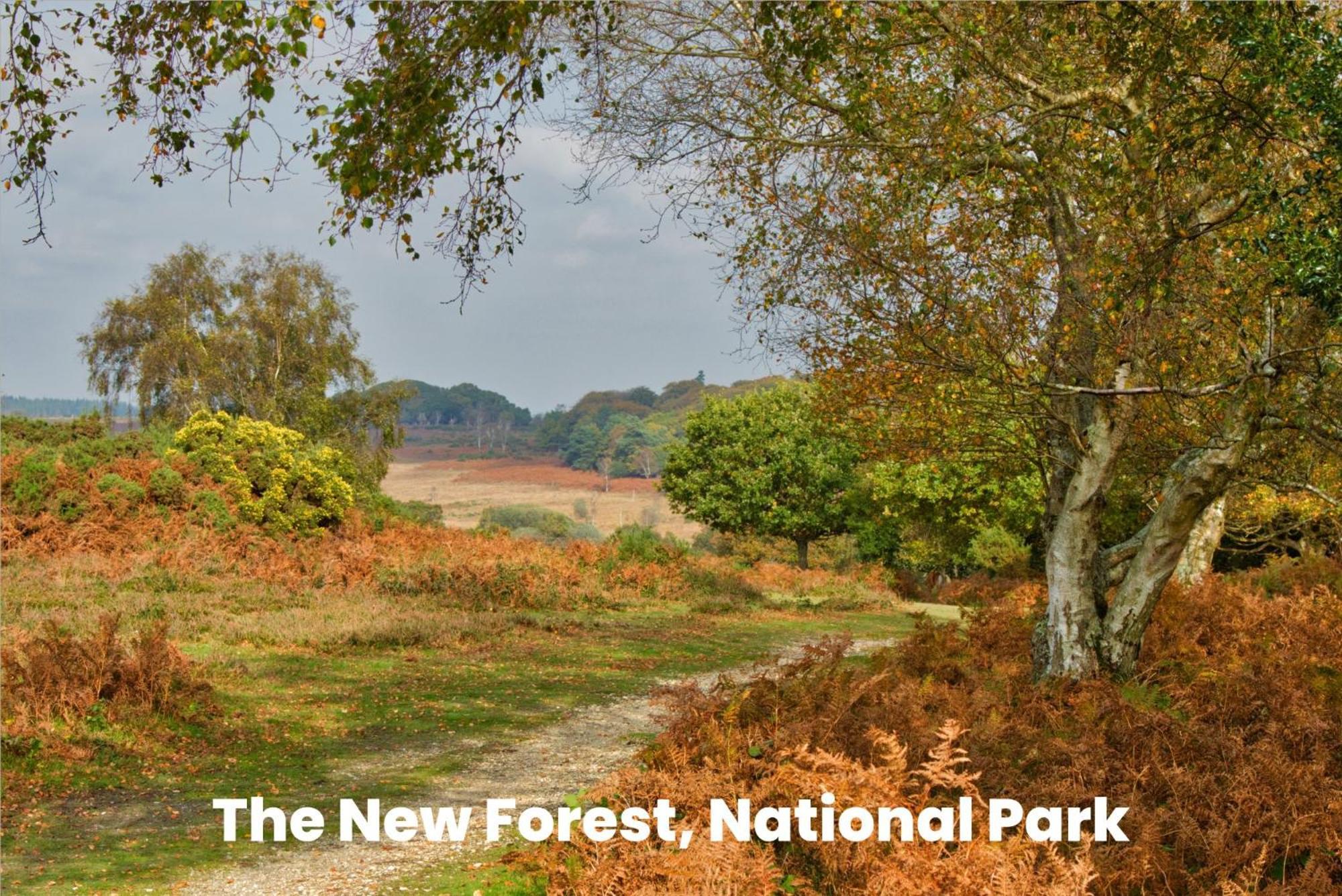Cosy Retreat Near New Forest Ellingham  Екстериор снимка