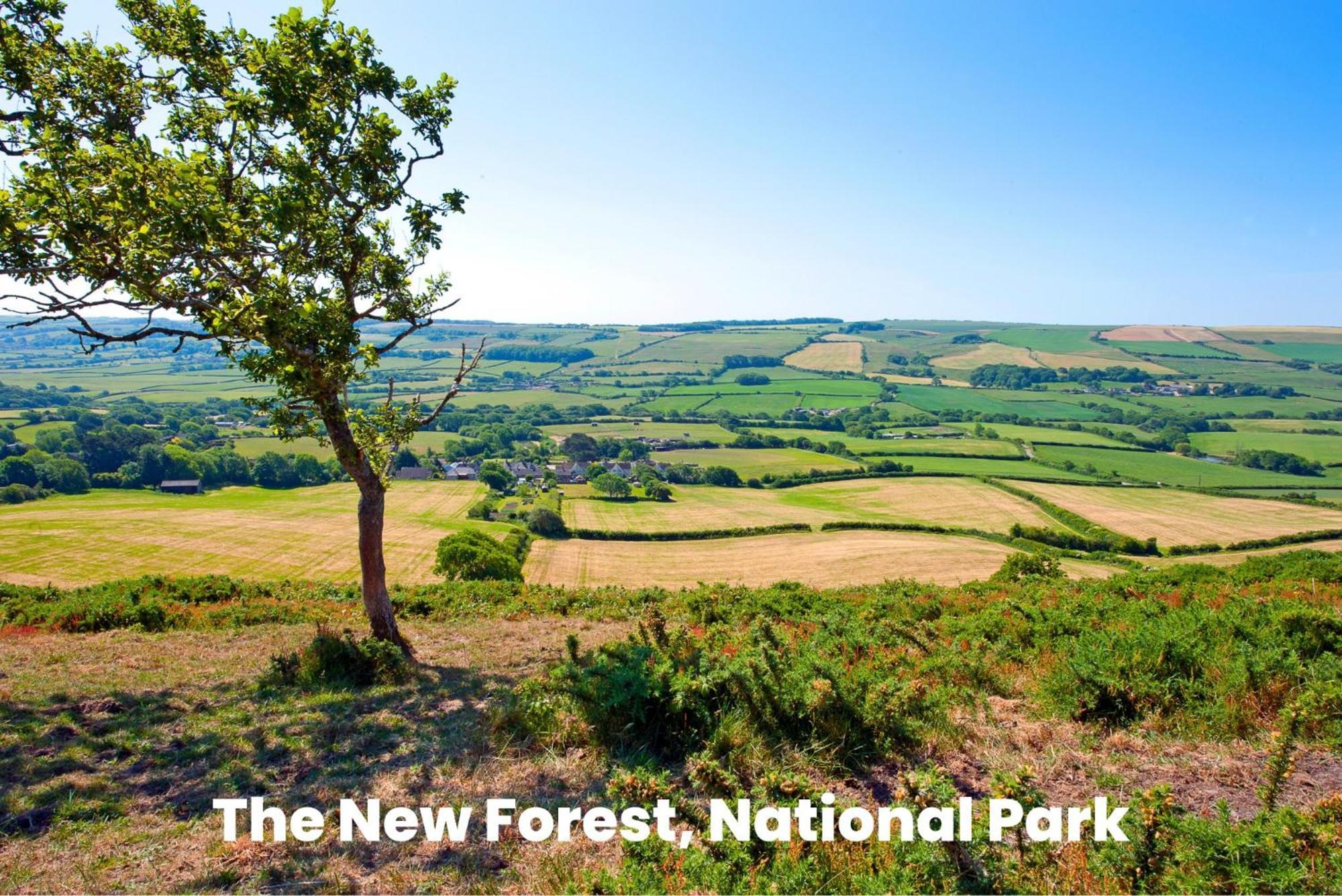 Cosy Retreat Near New Forest Ellingham  Екстериор снимка